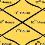 What Are the 12 Houses in Astrology