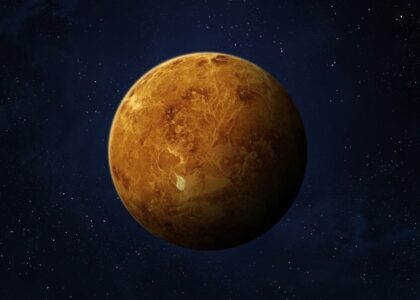 Venus in 12 Houses – What It Means